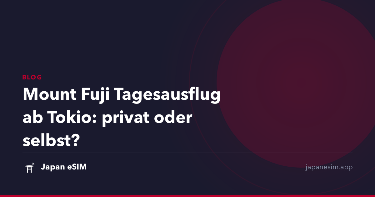 Mount Fuji Tagesausflug ab Tokio: privat oder selbst?