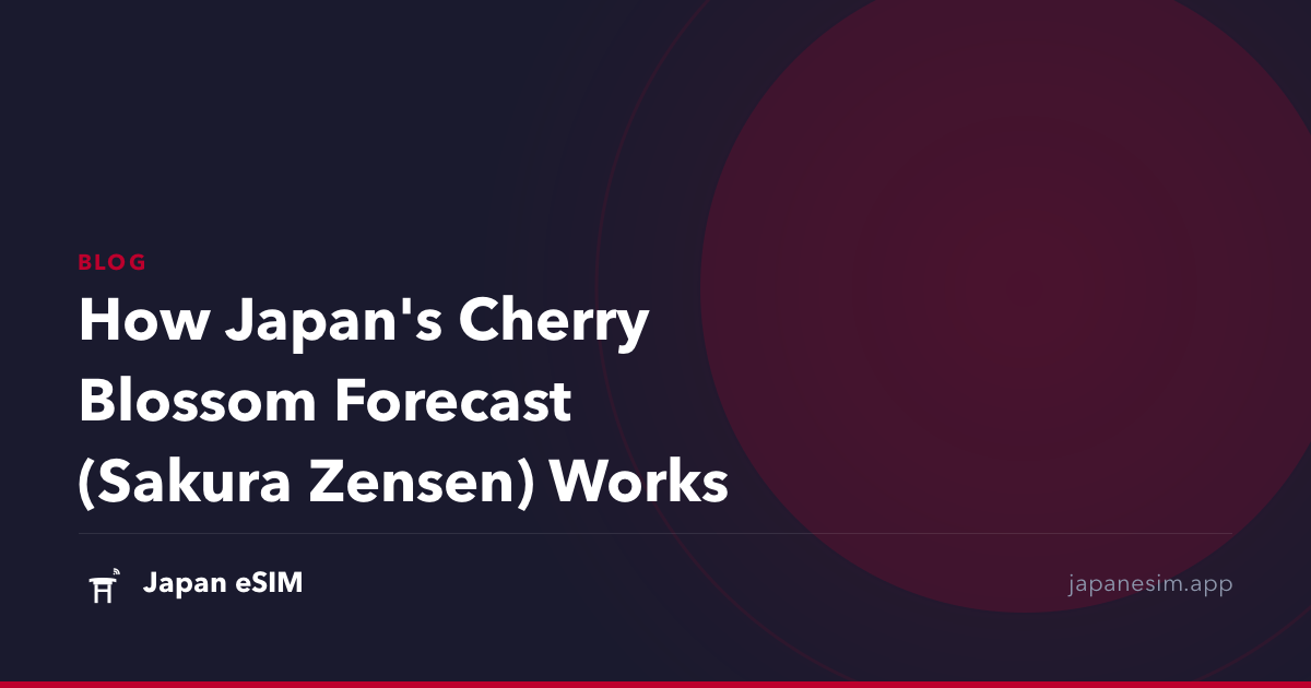 How Japan's Cherry Blossom Forecast (Sakura Zensen) Works