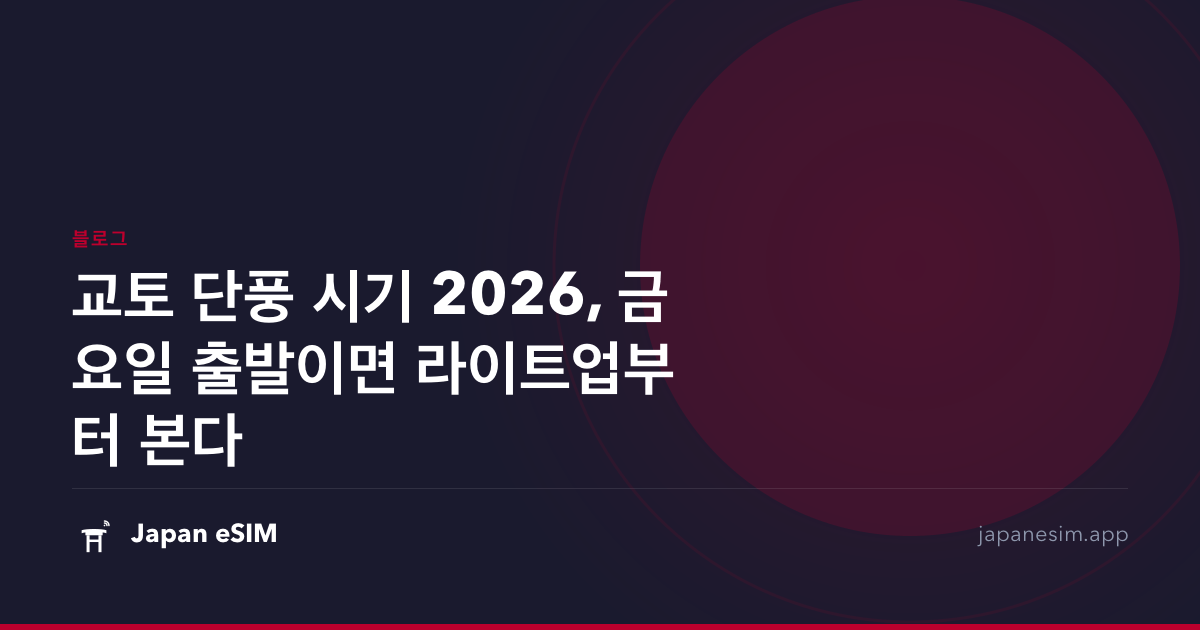 교토 단풍 시기 2026, 금요일 출발이면 라이트업부터 본다