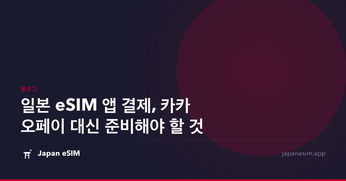 일본 eSIM 앱 결제, 카카오페이 대신 준비해야 할 것