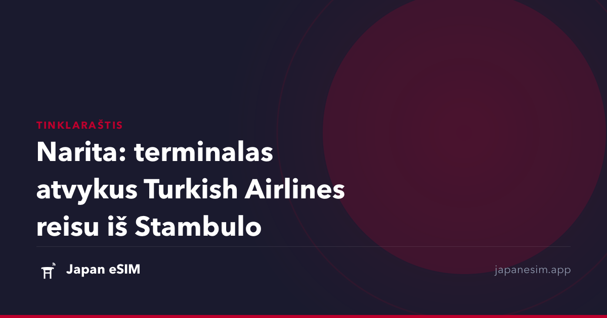 Narita: terminalas atvykus Turkish Airlines reisu iš Stambulo