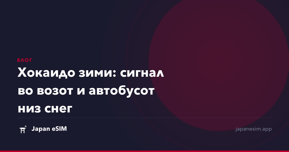 Хокаидо зими: сигнал во возот и автобусот низ снег