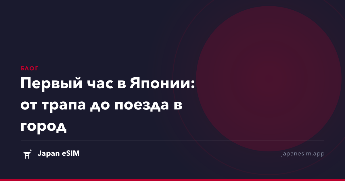 Первый час в Японии: от трапа до поезда в город