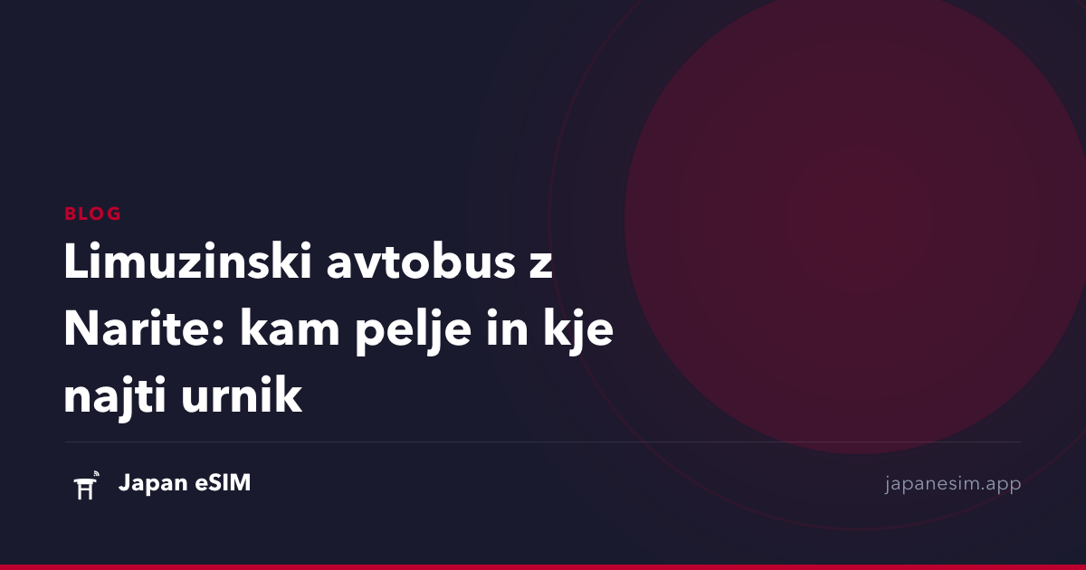 Limuzinski avtobus z Narite: kam pelje in kje najti urnik