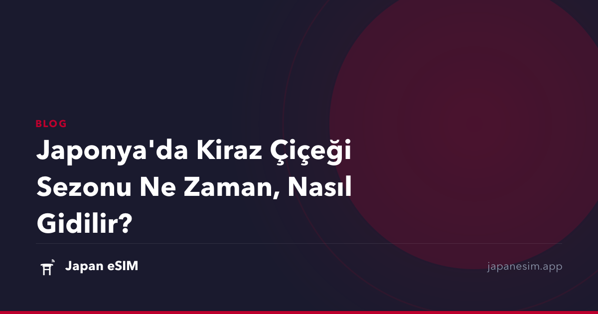 Japonya'da Kiraz Çiçeği Sezonu Ne Zaman, Nasıl Gidilir?