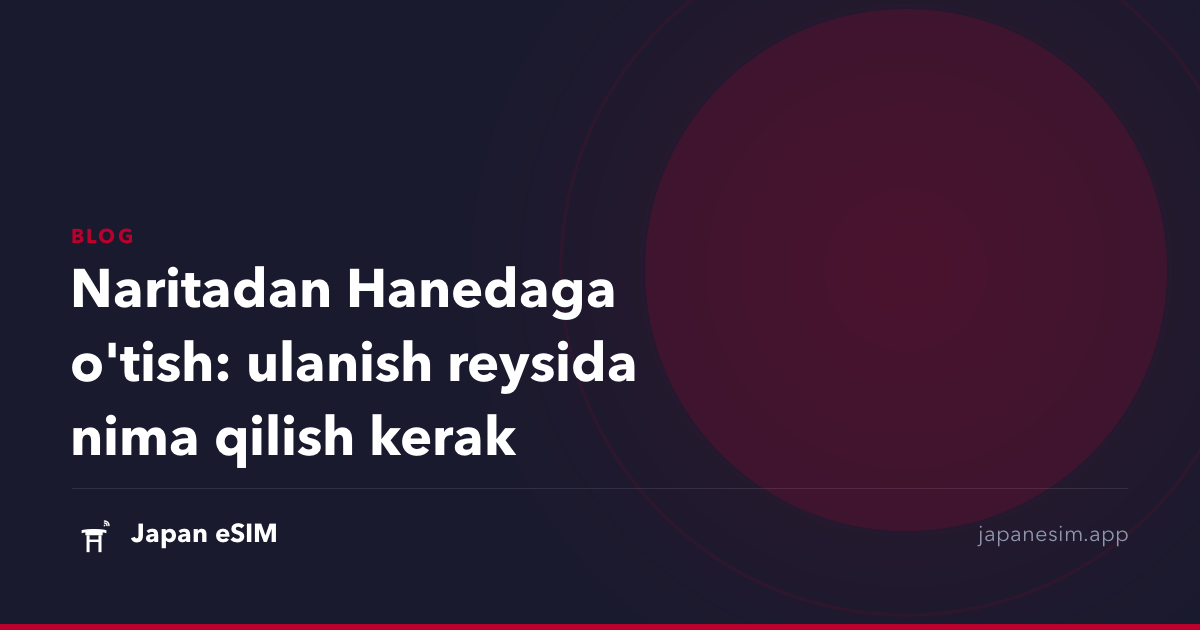 Naritadan Hanedaga o'tish: ulanish reysida nima qilish kerak